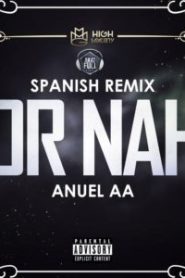 Or Nah Spanish Remix Anuel AA