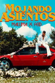 Mojando Asientos Maluma ft. Feid