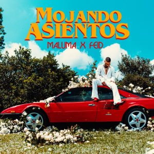 Mojando Asientos Maluma ft. Feid