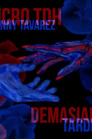 Demasiado Tarde Micro TDH ft. Lenny Tavarez