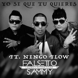Yo Se Que Tu Quieres Sammy & Falsetto ft. Ñengo Flow