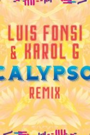 Calypso Remix Luis Fonsi ft. Karol G